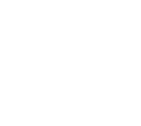 IPT